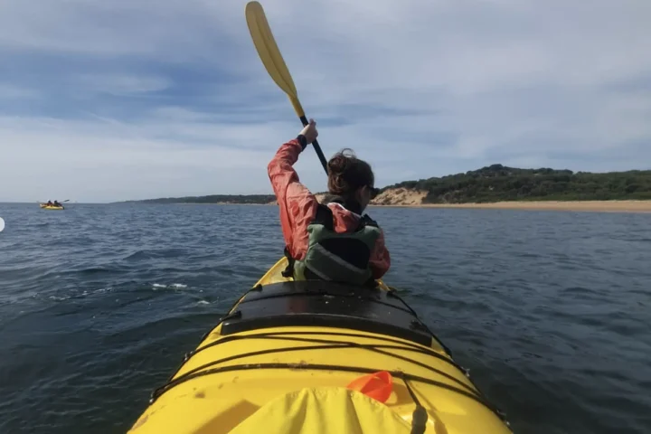 Pioneer Kayaking in Phillips Island