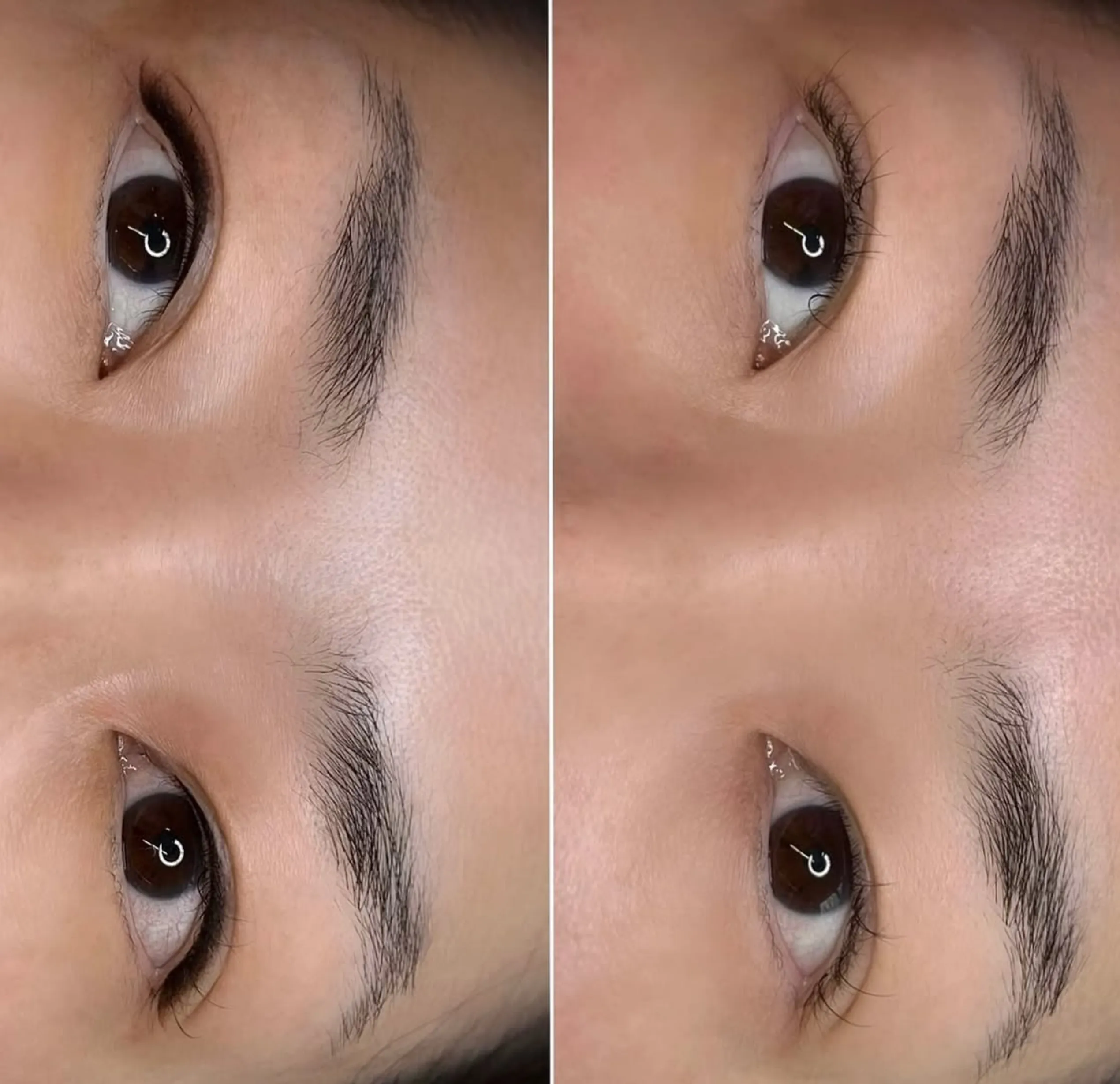 feathering eyebrows near me