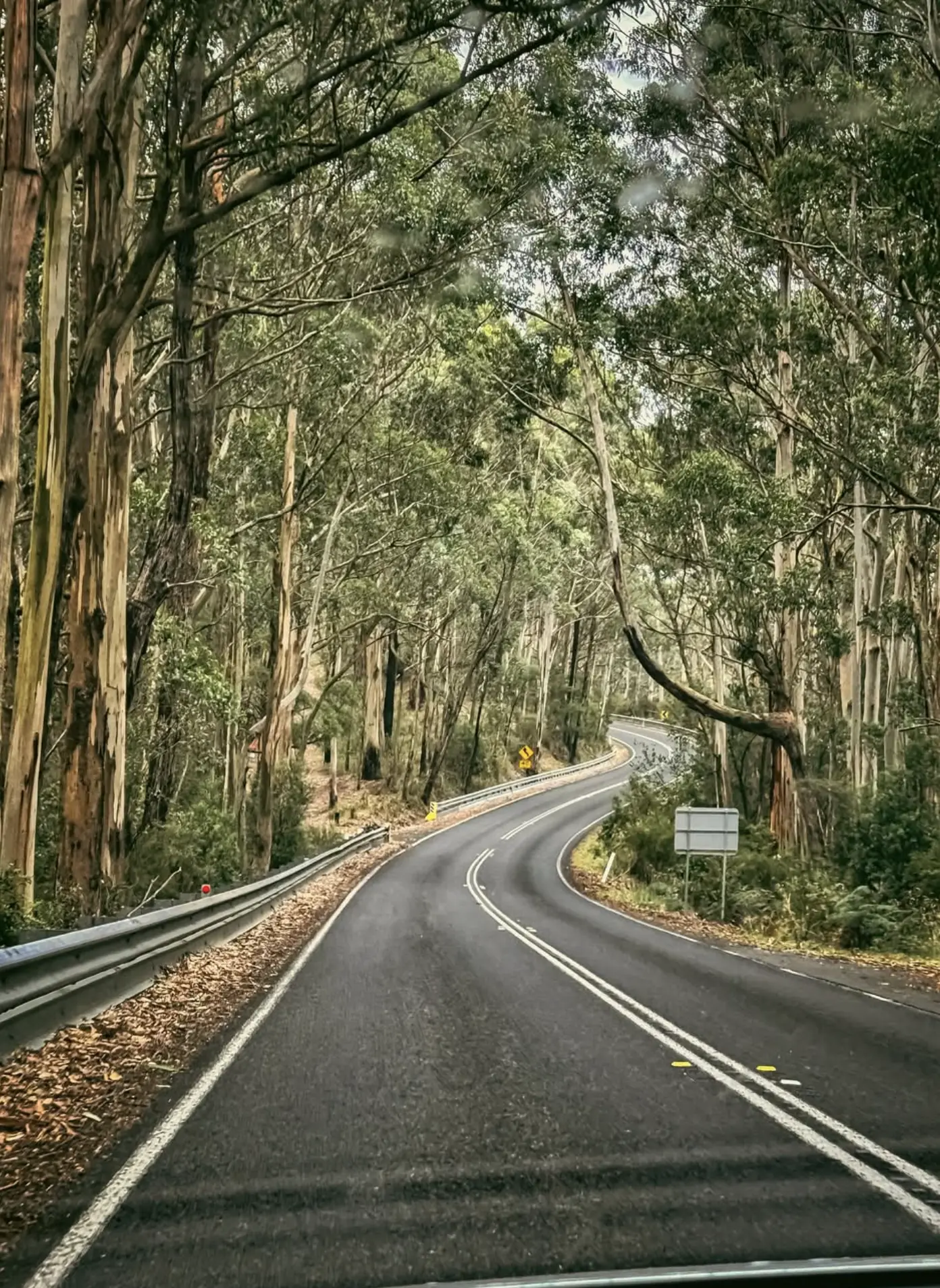Port Campbell National Park