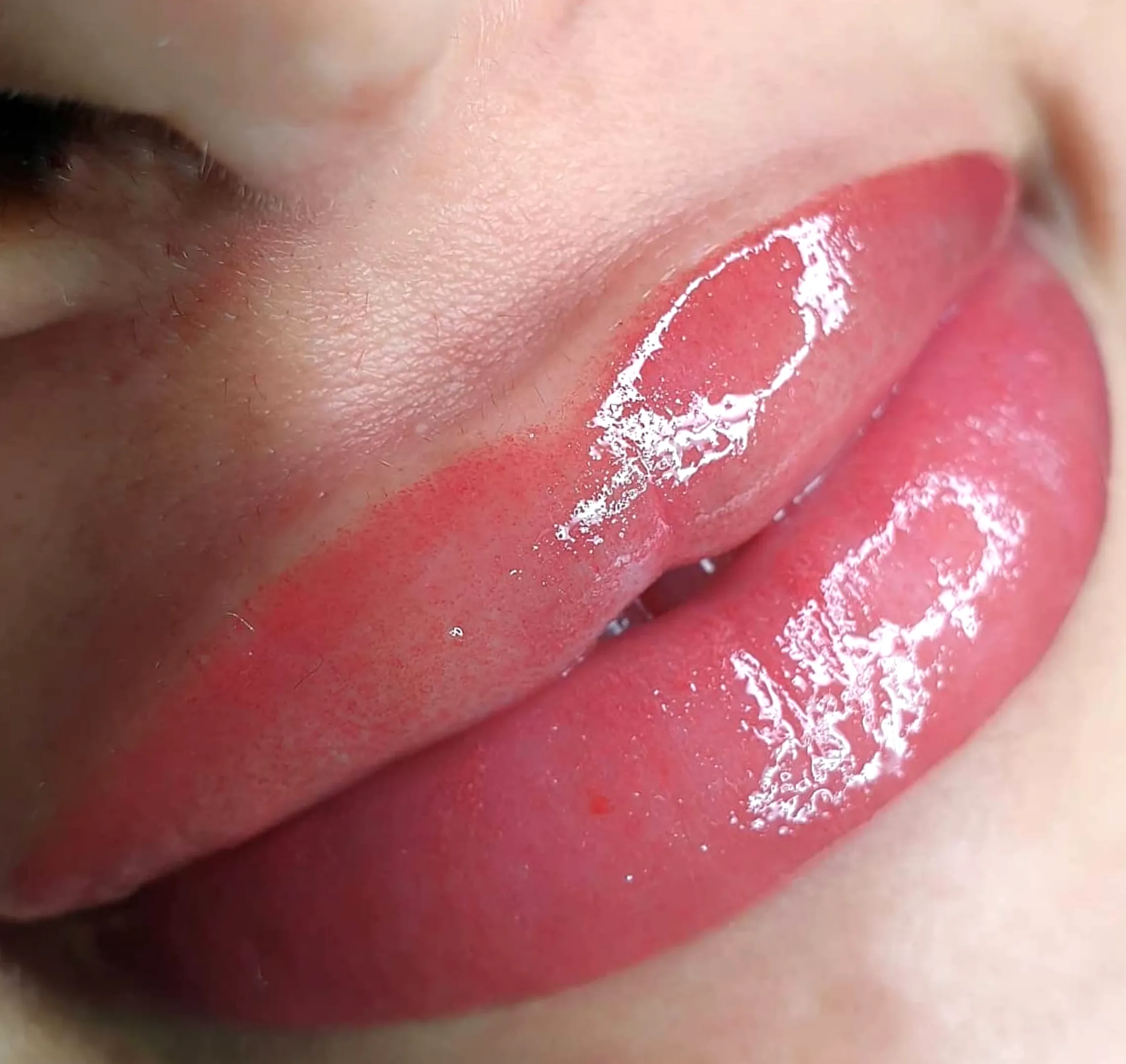 best pigments for lips
