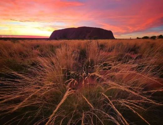 Does the NT Parks Pass Cover Uluru