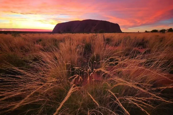 Does the NT Parks Pass Cover Uluru