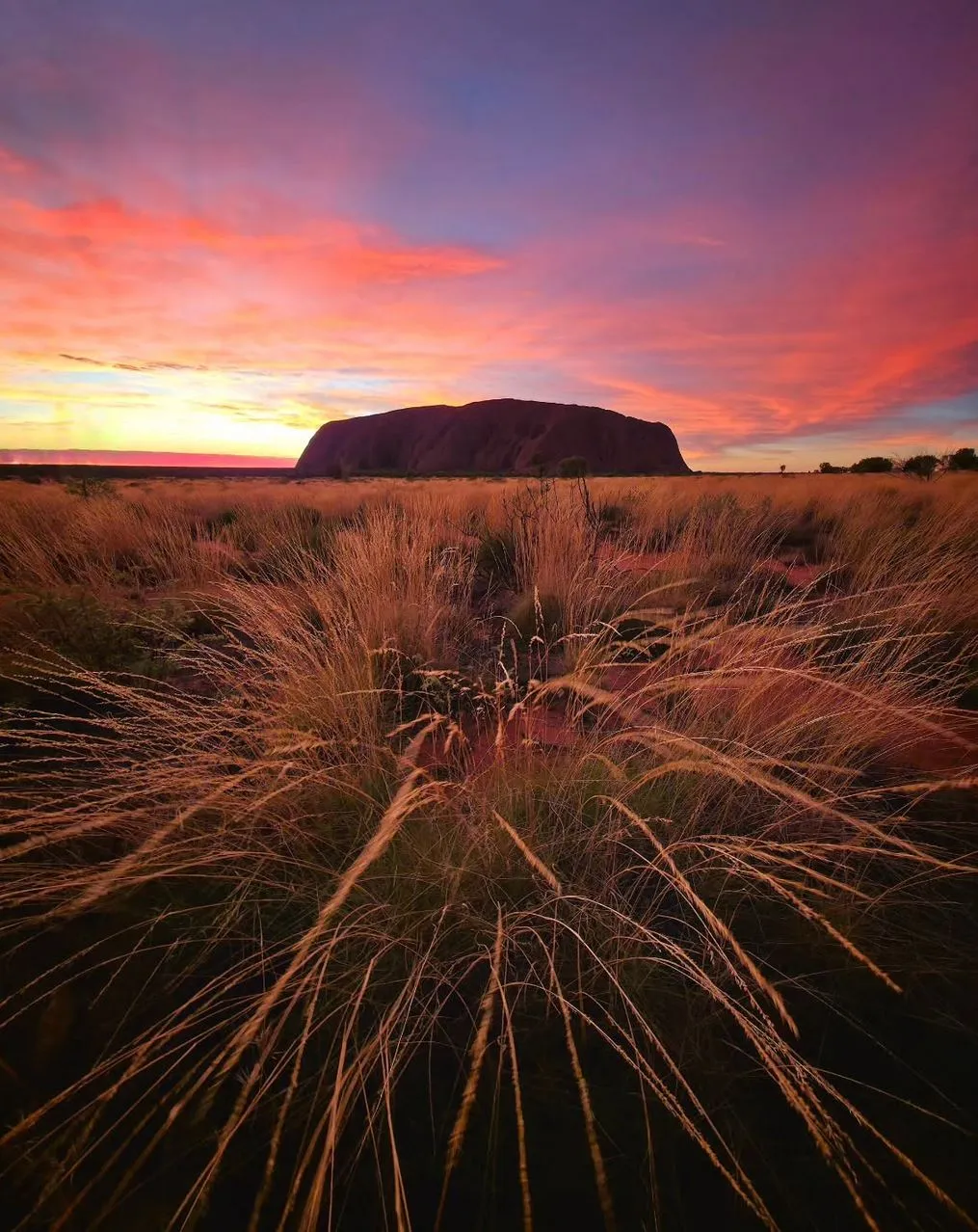 Does the NT Parks Pass Cover Uluru